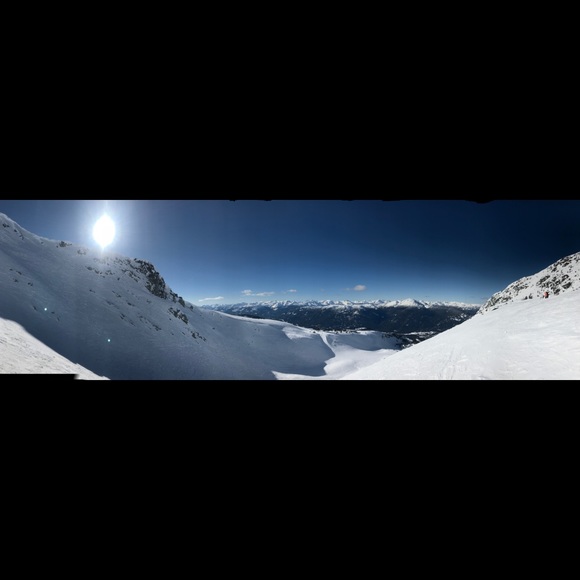 Meet your Posher, Lily - Picture 1 of 1